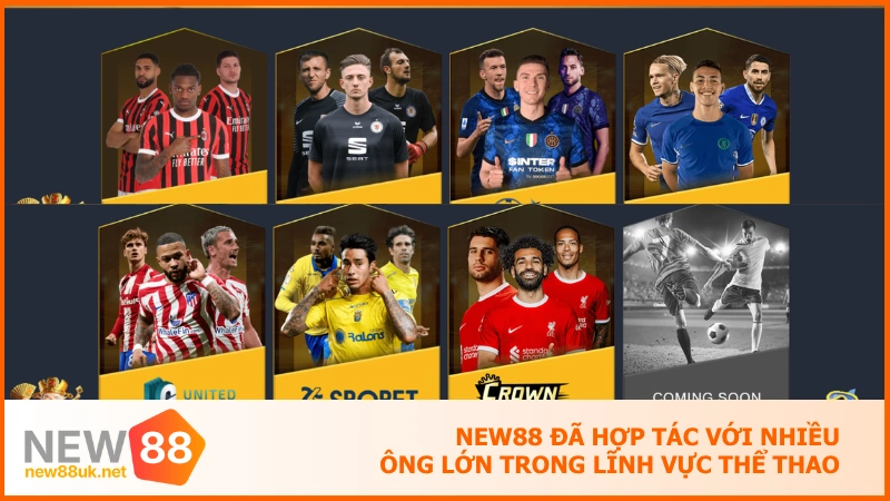 NEW88 đã hợp tác với nhiều ông lớn trong lĩnh vực Thể Thao