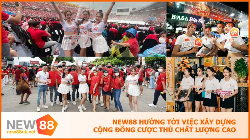 NEW88 hướng tới việc xây dựng cộng đồng cược thủ chất lượng cao